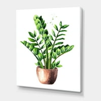 Zamioculcas Tropikal Bitki Yeşil Yaprakları İle Beyaz Boyama Tuval Sanat Baskı