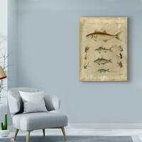 Marka Güzel Sanatlar 'Balık Kompozisyonu II' Vision Studio'dan Tuval Sanatı